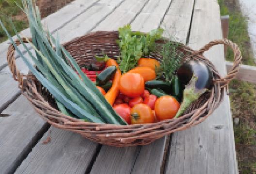 Les Jardins d'Olivet景点图片