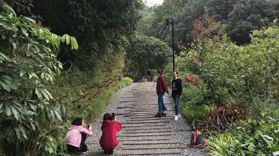 高峯森林公園-星月湖