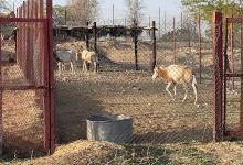 river lounge alhawasu protected景点图片