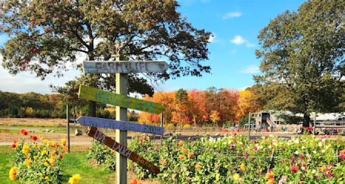 Leyden Farm Vineyard and Winery