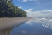 Reserva Natural Punta Mala景点图片