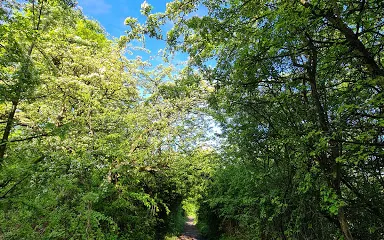 Townclose Hills Nature Reserve