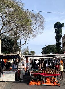 Flower Clock-库里提巴