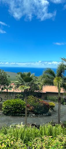 Big Island Bees-Honaunau-Napoopoo