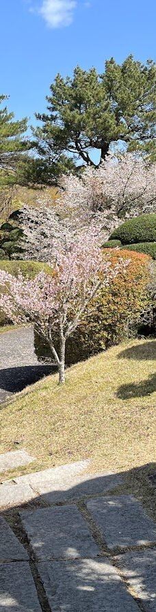 恩赐箱根公园-箱根