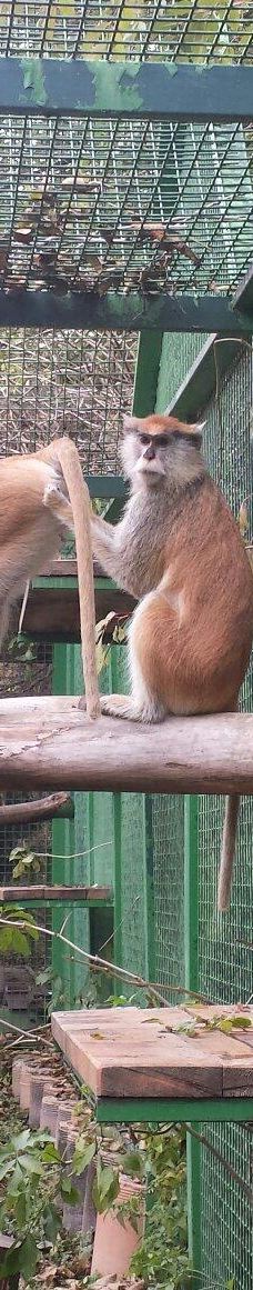 Zoo Kosice-科希策1区