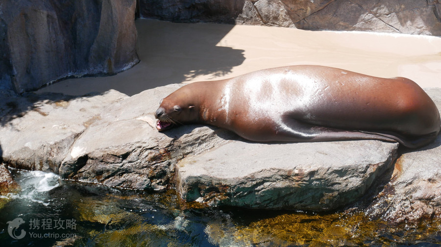 宮島水族館