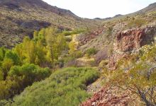 Fort Piute景点图片