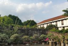Bonsai Library and Museum景点图片