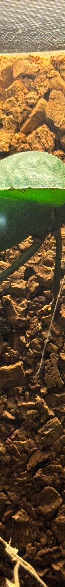 Casa delle Farfalle-米兰马瑞提那