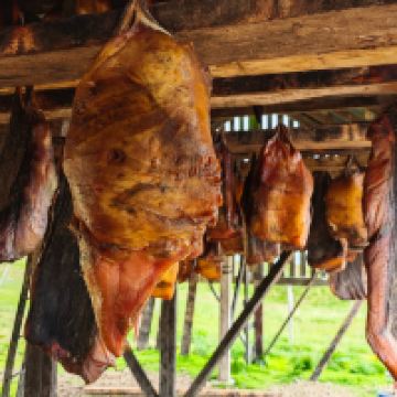 斯蒂克松鲁姆图片