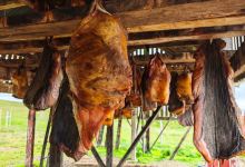 Bjarnarhofn Shark Museum景点图片