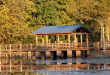Brick Pond Park景点图片