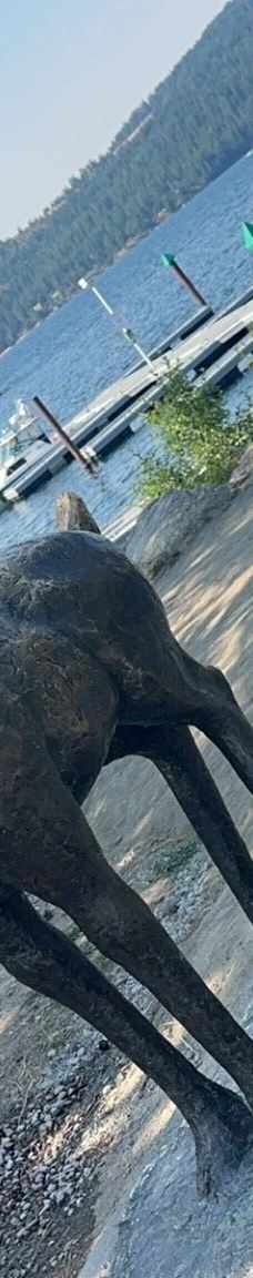 McEuen Park-科达伦