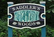 Saddler's Woods Conservation Association景点图片