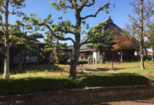 Motosuminzoku Museum景点图片