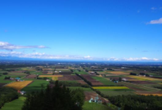 Shin Arashiyama Sky Park Observatory景点图片