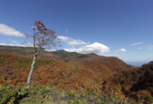 天风境景点图片