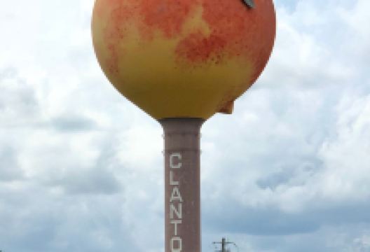 Clanton Peach Water Tower景点图片