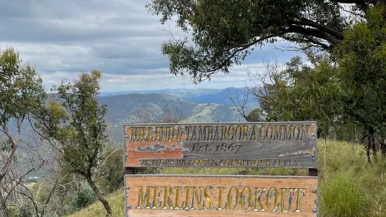 Merlins Lookout