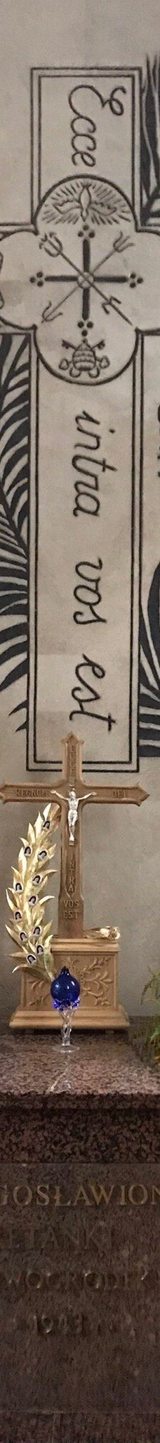 Catholic Cathedral of the Transfiguration-新格鲁多克