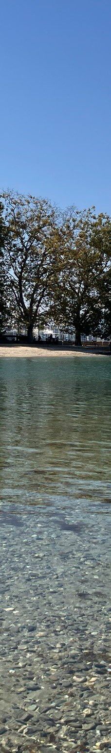 宝贝沙滩-日内瓦