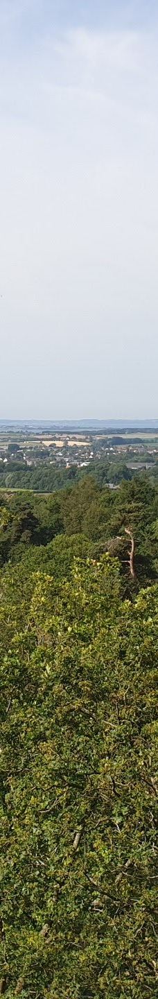 Svanninge Bakker-福堡