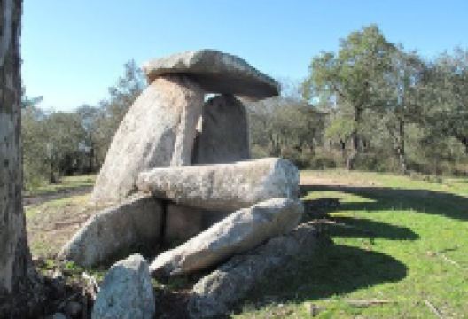 Anta da Coutada de Barbacena景点图片