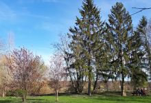 Parc Cepoy景点图片