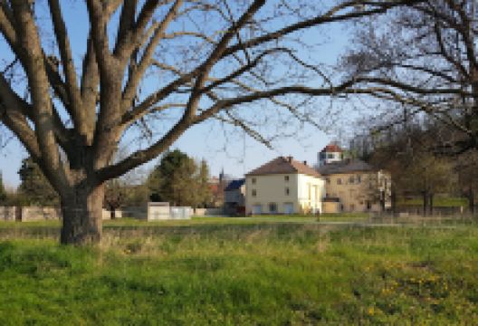 Kleingartenverein Diesbar-Seußlitz e.V.景点图片