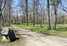 Kronbiegel Park景点图片