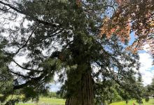 Aire de jeux "Domaine de Muret"景点图片