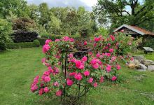 Gartenhof Hüls景点图片