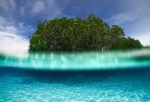 Bongsanglay Natural Park景点图片