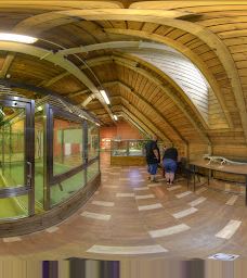 Krokodýli farma-皮塞克