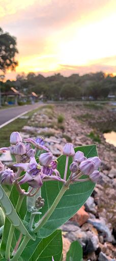 Seal and Penguin Park-宋卡