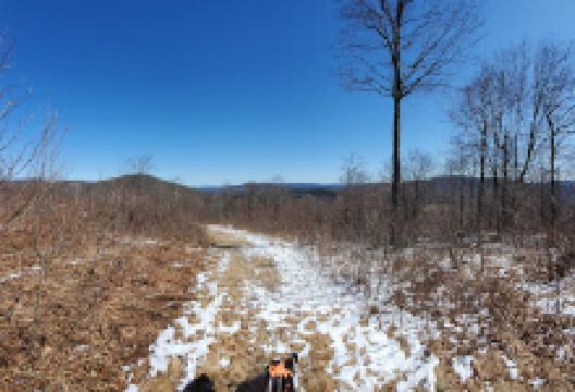 Alford Springs Reserve - Father Loop Trailhead景点图片