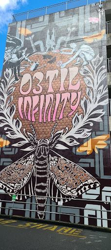 卡朗加黑皮路-奥克兰