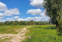 Groesplaat ingang en vogelkijkhut 't Vinkennestje景点图片