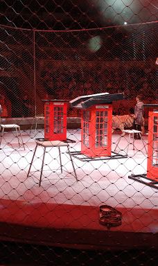 奇尼塞利马戏团-圣彼得堡