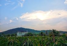 Vườn Thanh Long Đức Hồ景点图片