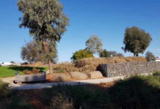 Jack Madigan Reserve景点图片