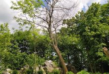 Přírodní památka Kuchyňka景点图片