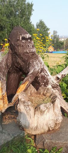 Arlekino-巴尔瑙尔区