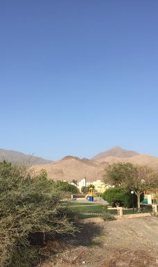 Garden gras-尼兹瓦