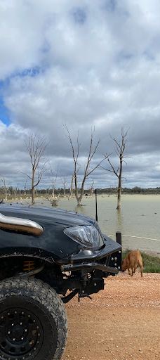 Kings Billabong-米尔迪拉