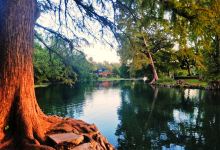 Sewell Park景点图片