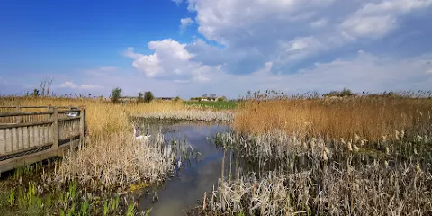 WWT Steart Marshes