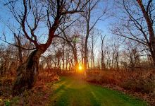 Terradise Nature Center景点图片