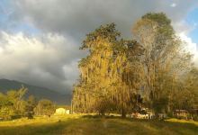 Parque Bidimensional Agroecologico Y Tutistico La COLONIA景点图片